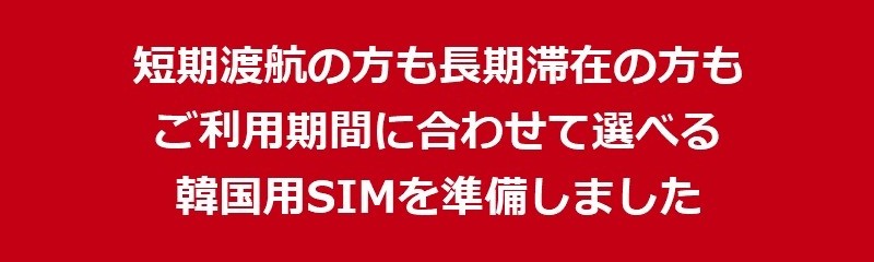 emergency_sim
