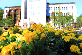 梨花女子大学のキャンパスにて 梨花女子大学のキャンパスにて