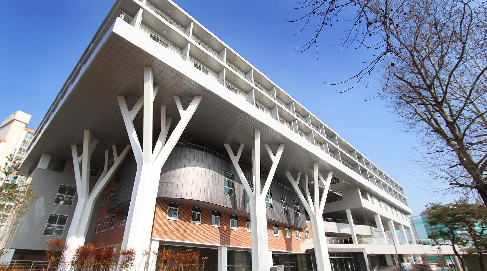 国立全南大学校校舎2