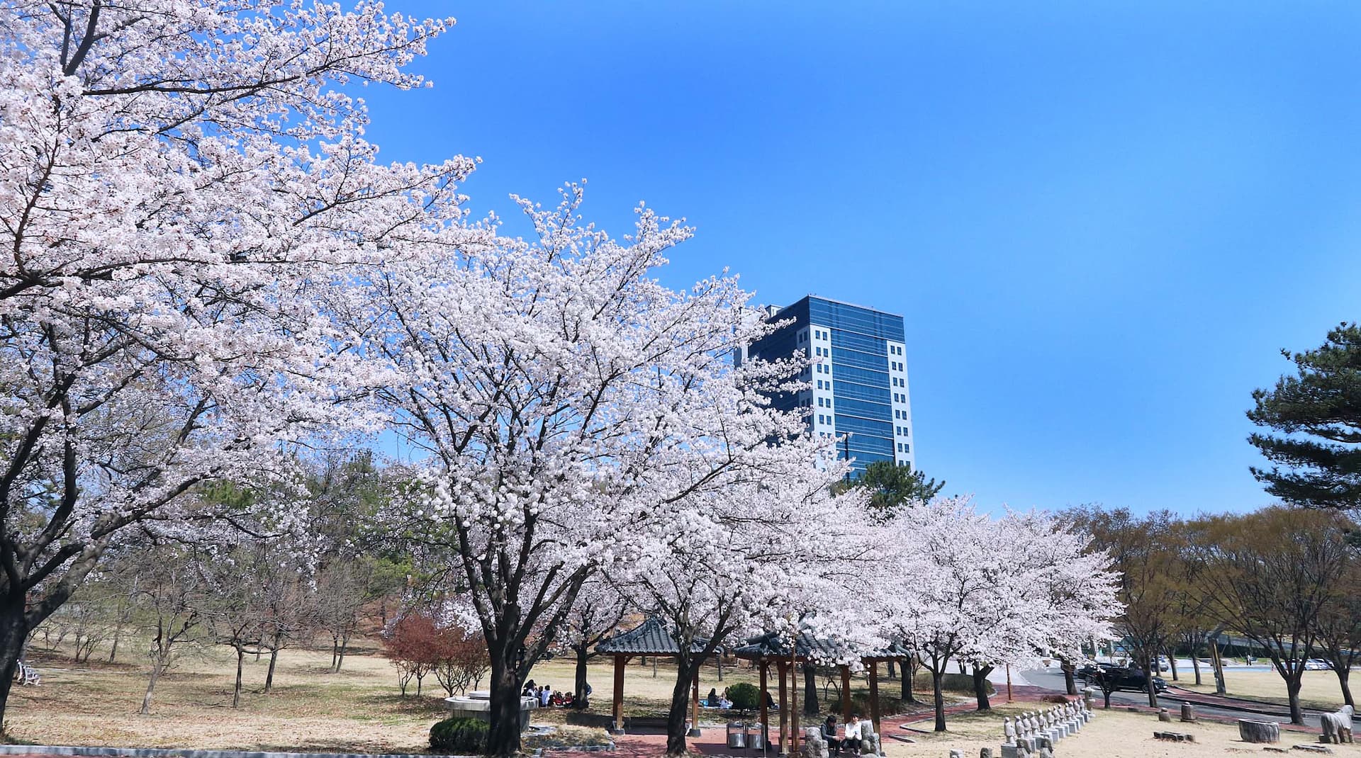 大邱大学校校舎1