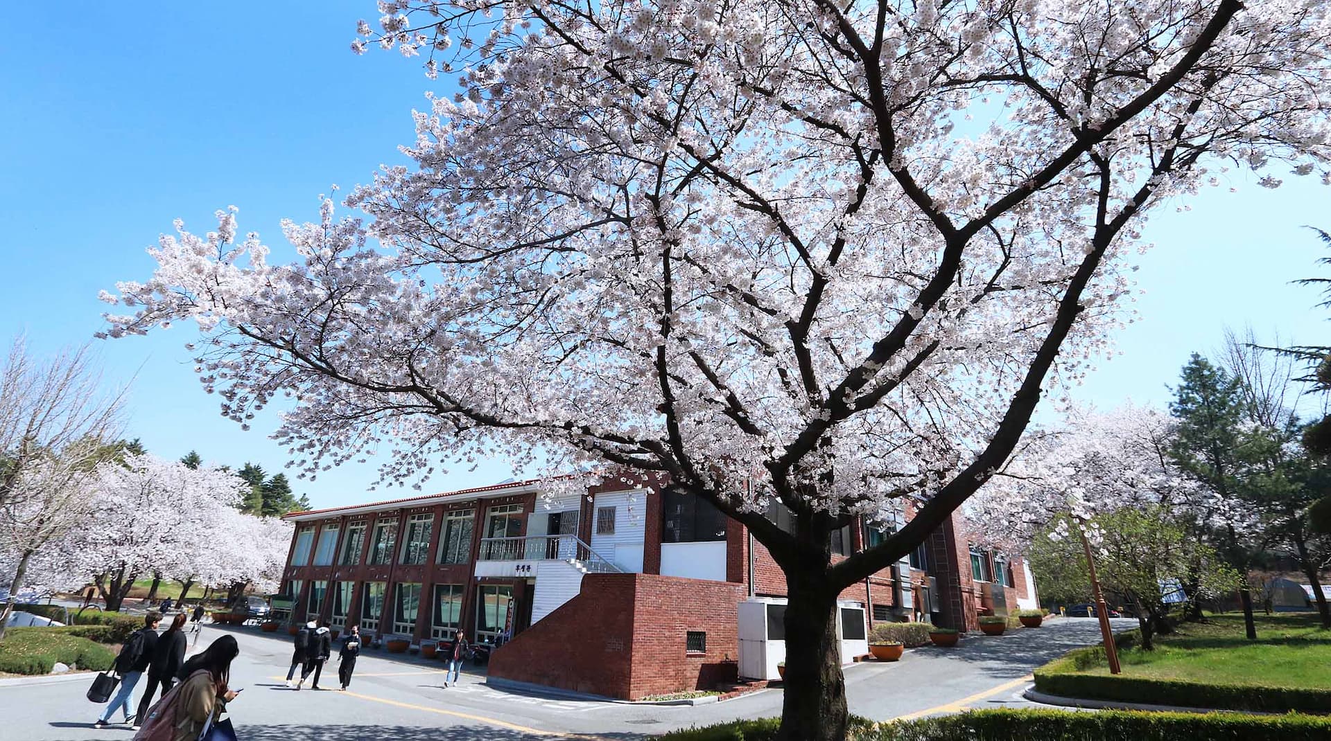 大邱大学校校舎4