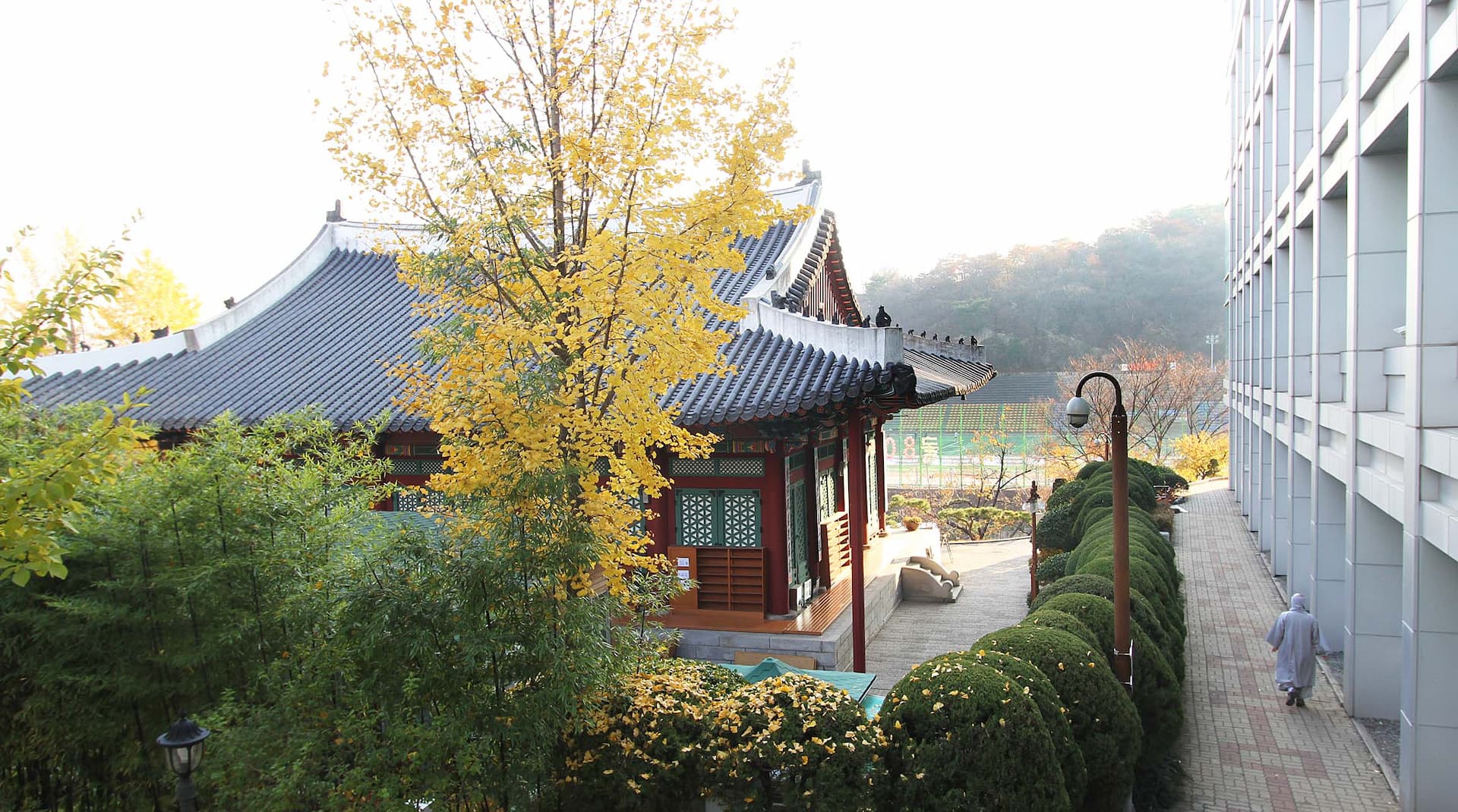 東国大学校校舎5