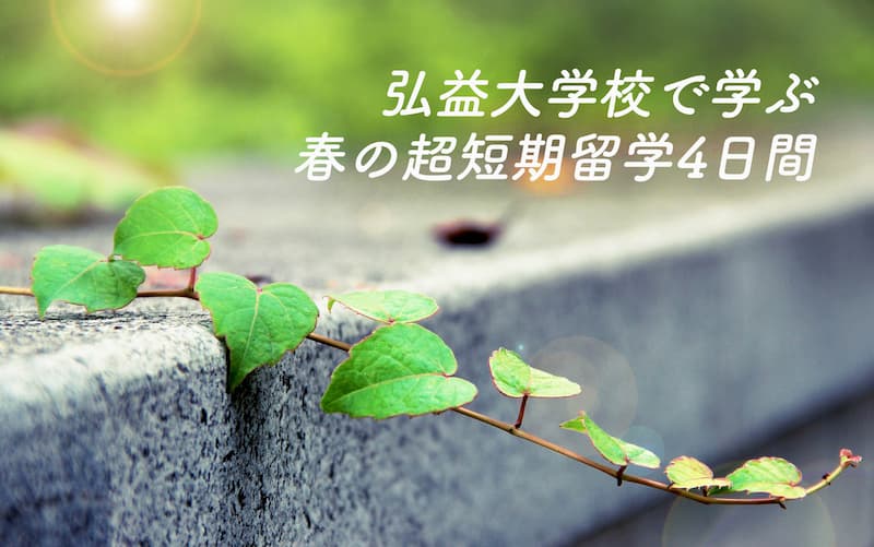 スノク先生と行く弘益大学校、春の超短期留学