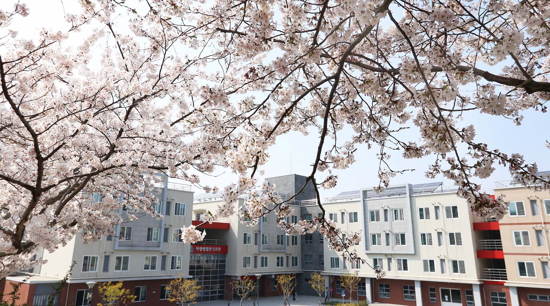 国立済州大学校校舎3