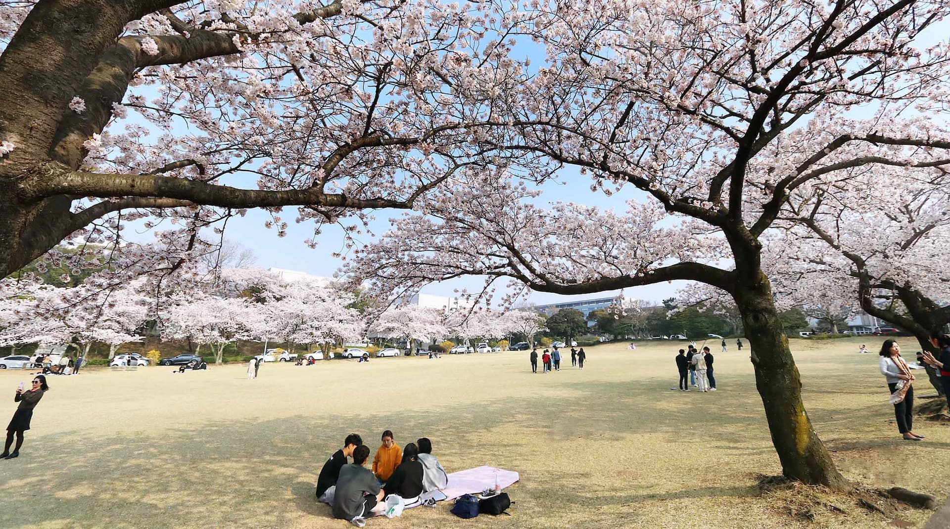 国立済州大学校校舎5