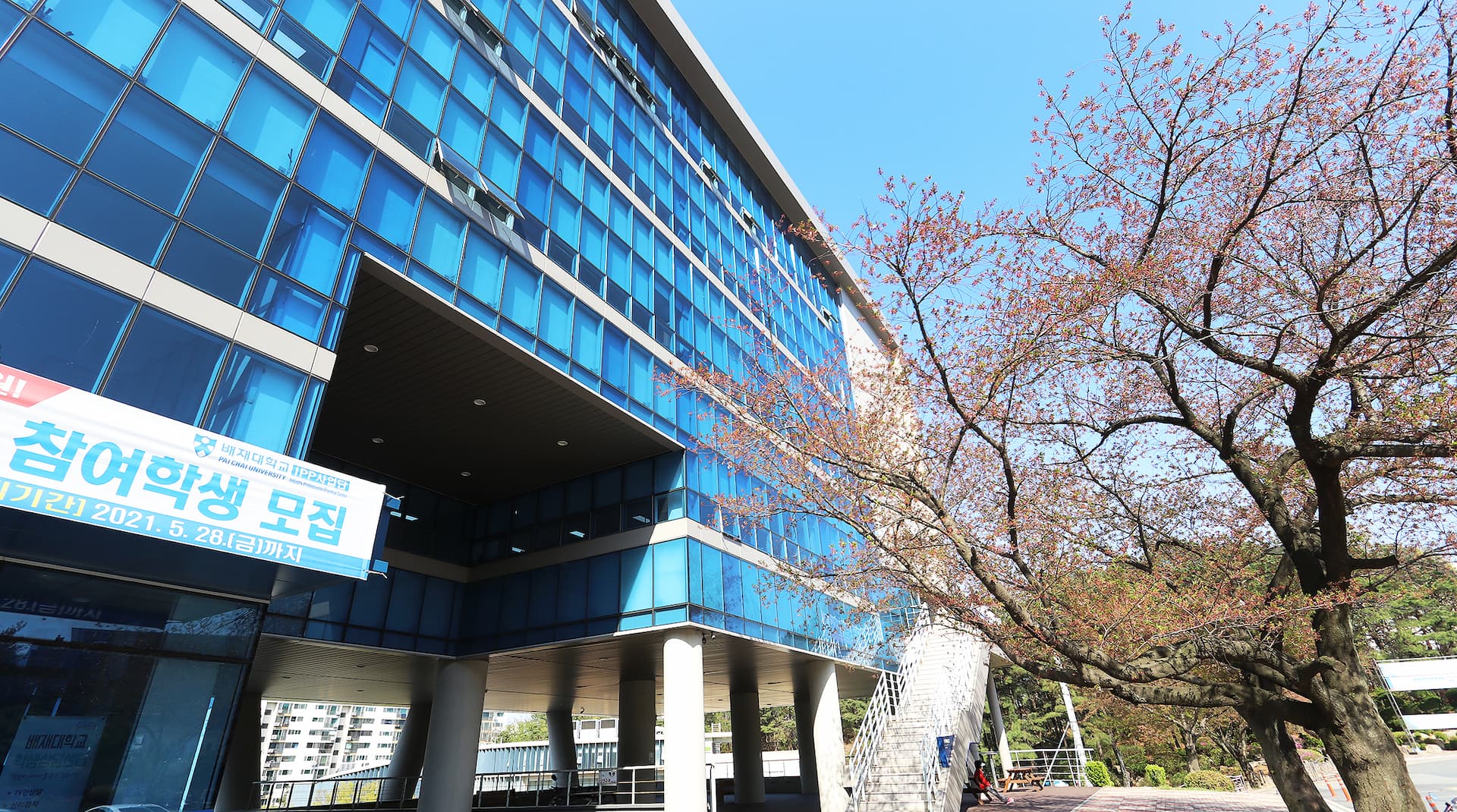 培材大学校校舎7