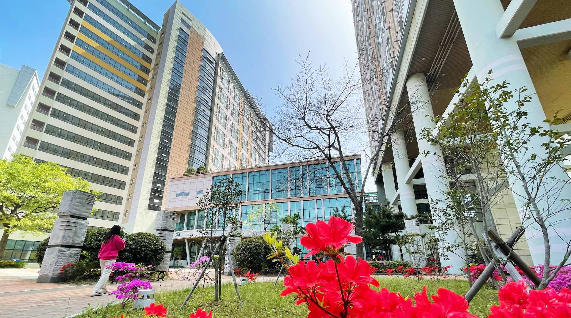 国立釜慶大学校校舎1