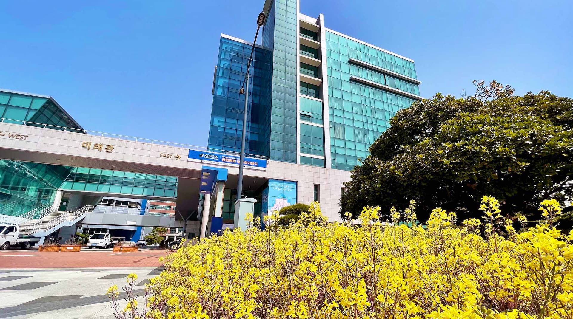 国立釜慶大学校校舎4