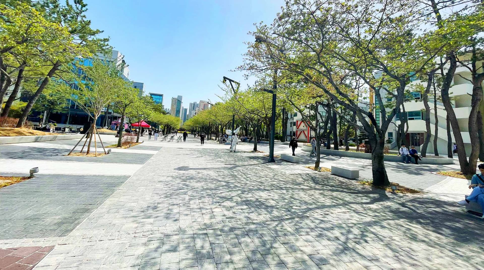 国立釜慶大学校校舎2