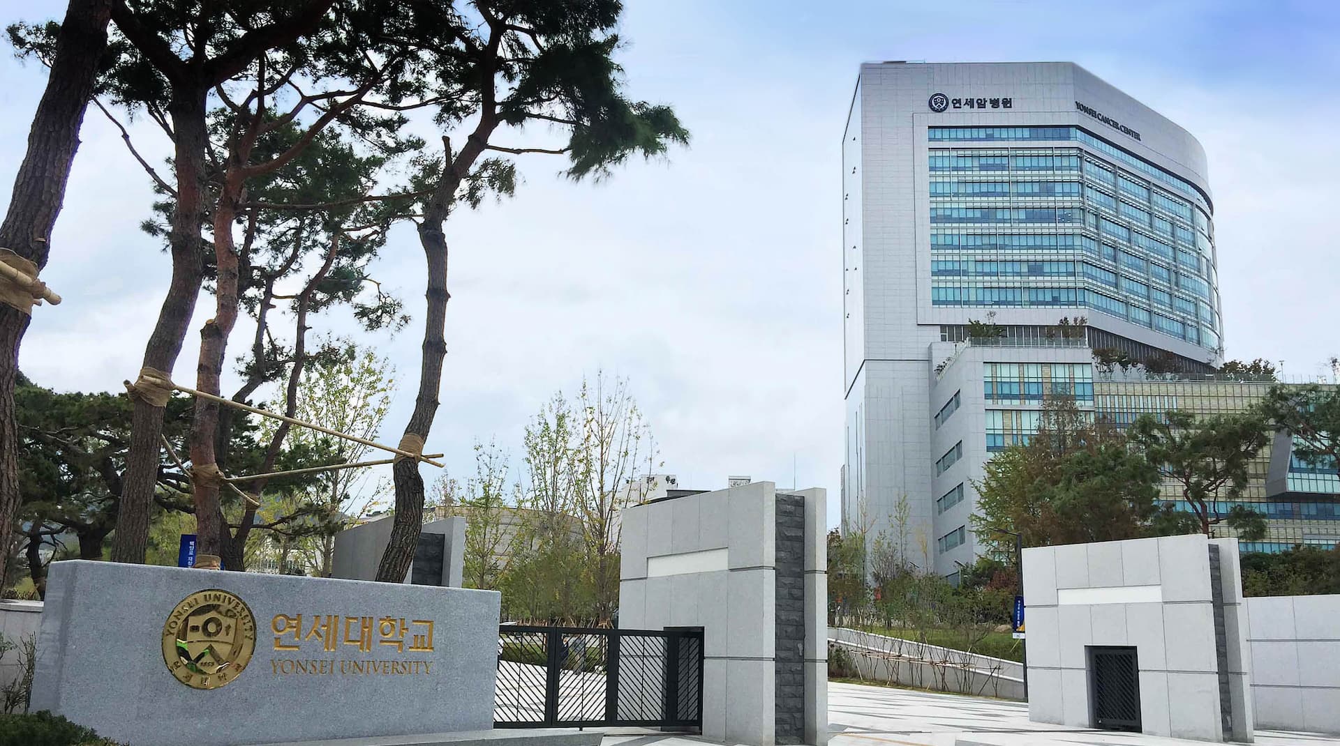 延世大学校校舎4